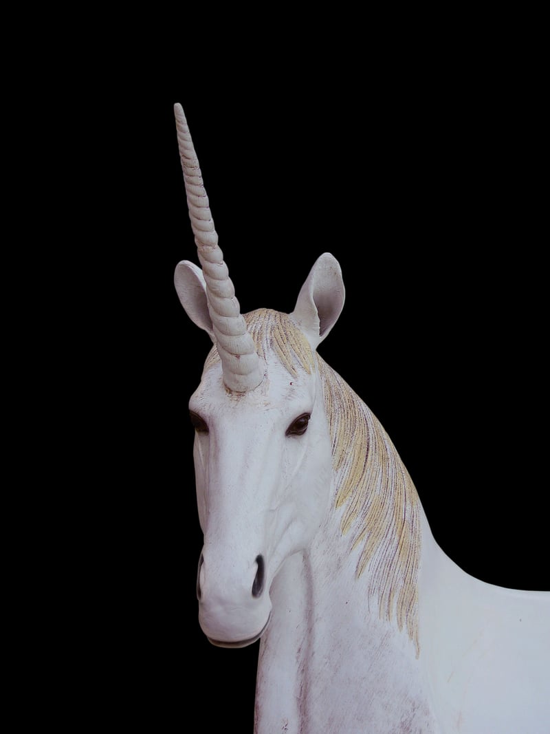 Phoenix Sanctuary